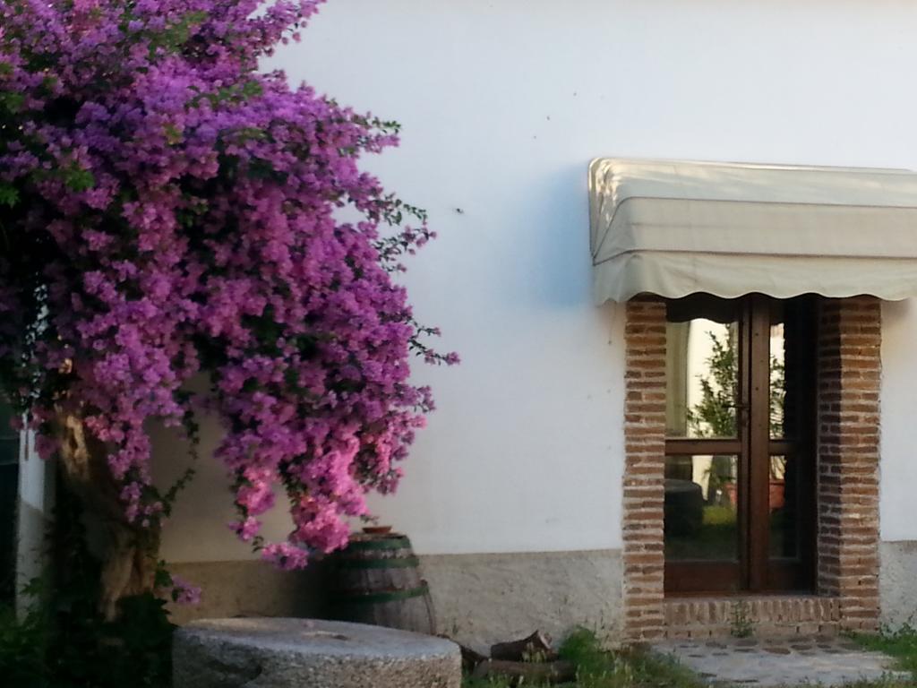 Agriturismo Malena Amica Exterior photo